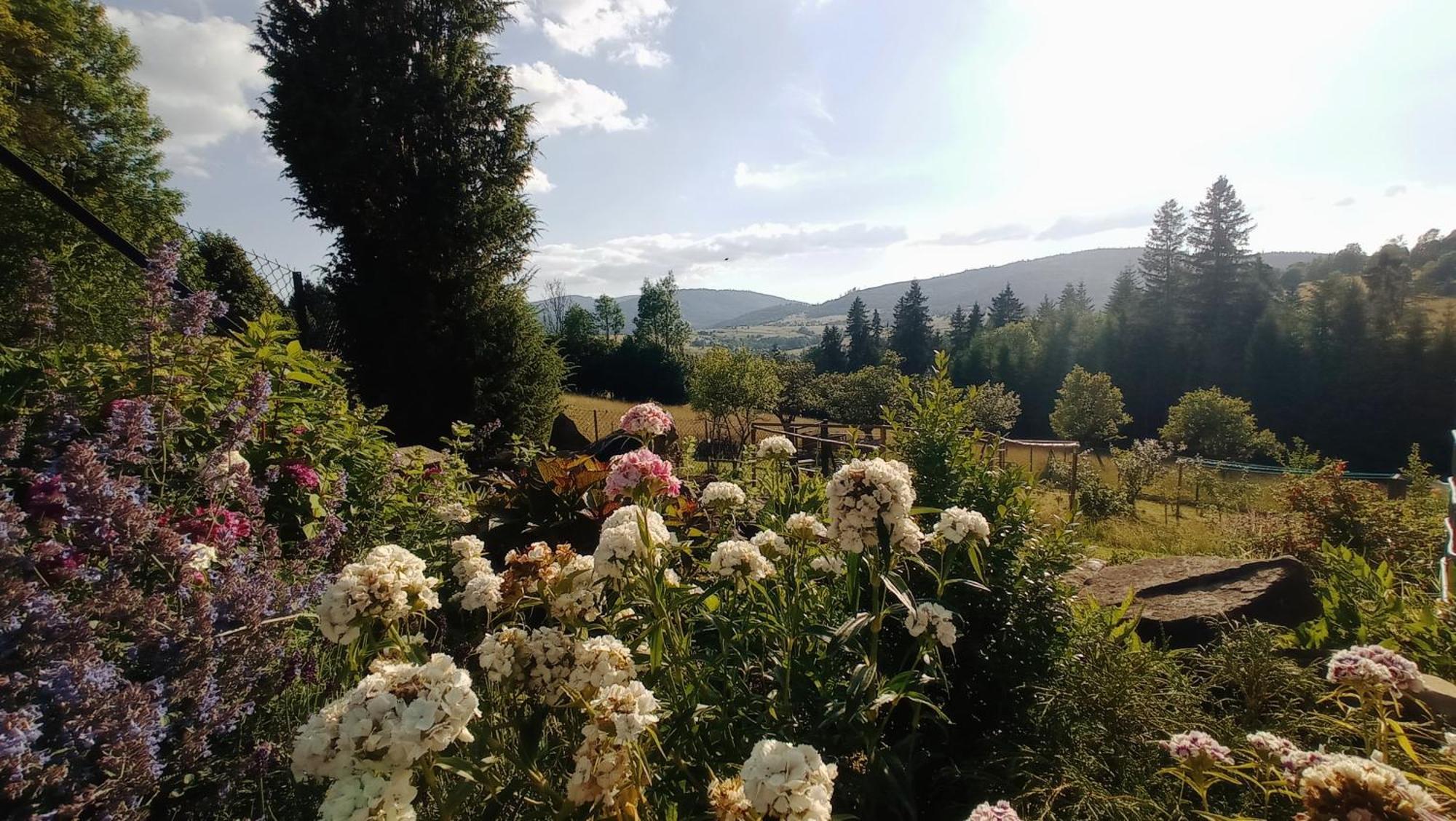 Agroturystyka "Na Polanie" Rajcza Extérieur photo